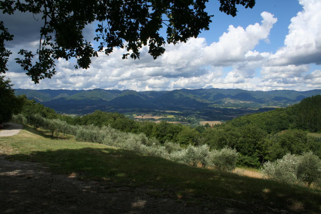 Podere Capitignano Borgo San Lorenzo Luaran gambar